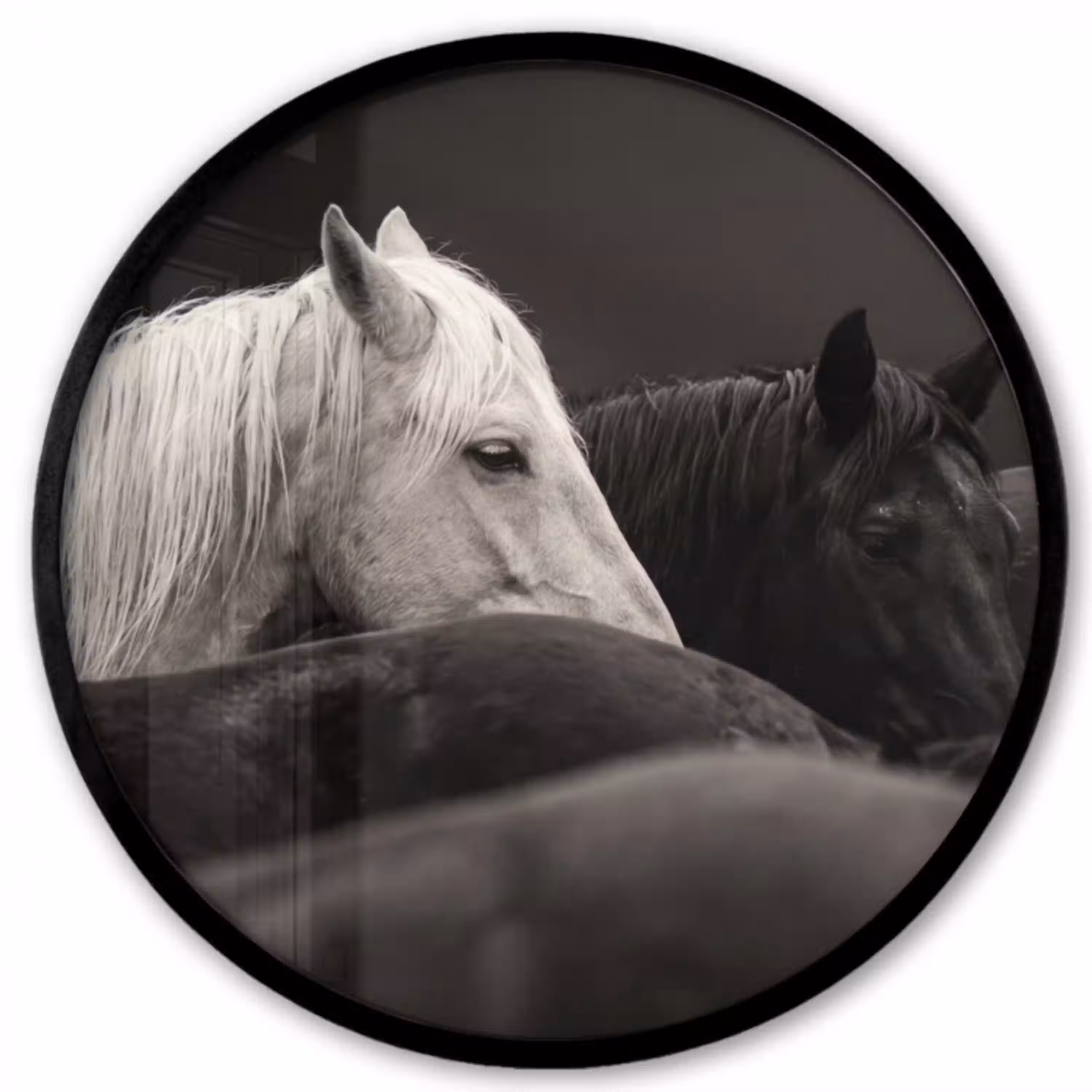 Paarden - Zwart - Wit - Kudde Fotolijst rond zonder passe partout klein -3d