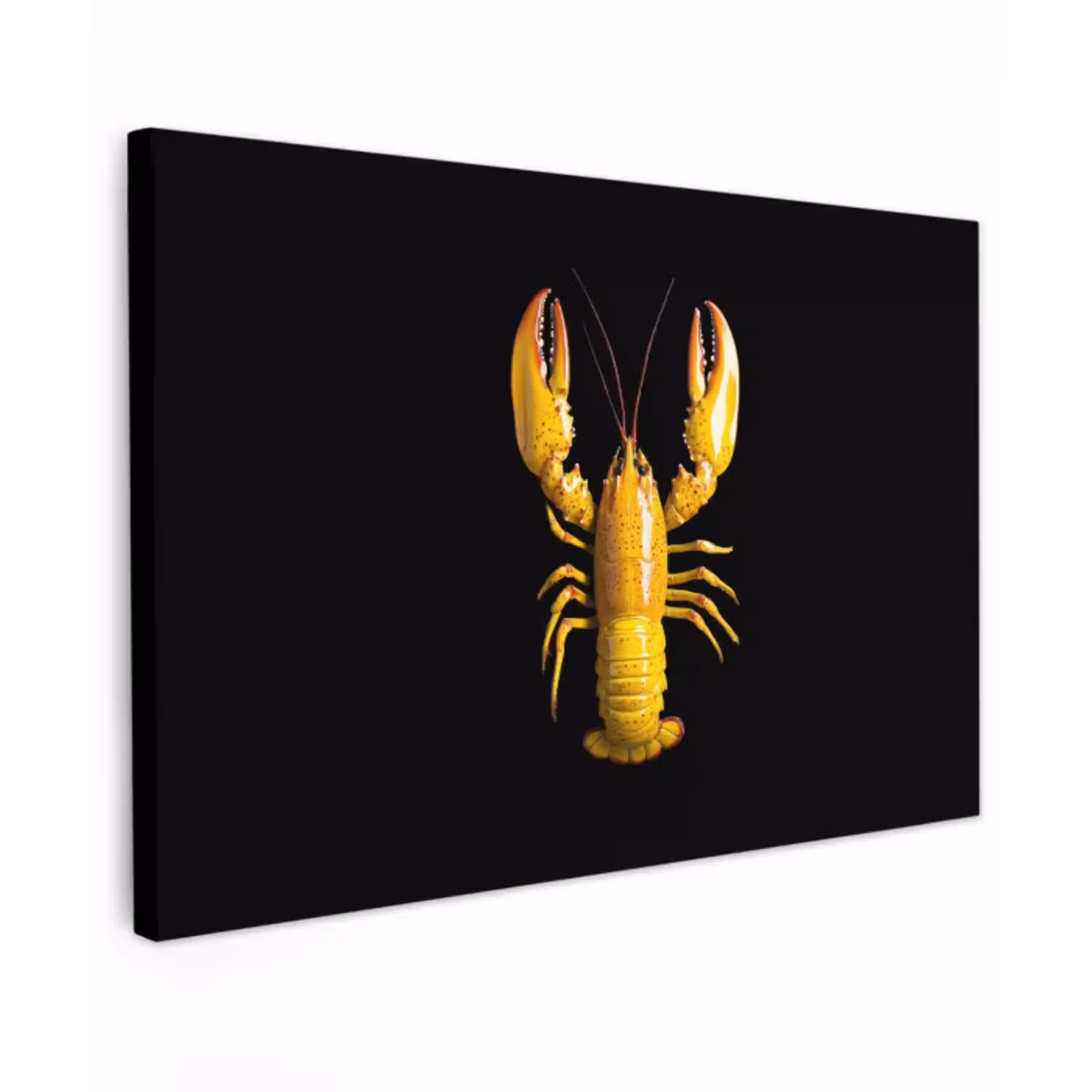 Kreeft - Geel - Stippen - Effen Tuinposter op houten frame 2 cm dik klein -3d
