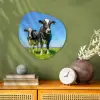 Koeien - Weiland - Gras - Dieren - Boerderij Wandcirkel Organisch Forex 3mm klein -sfeer2