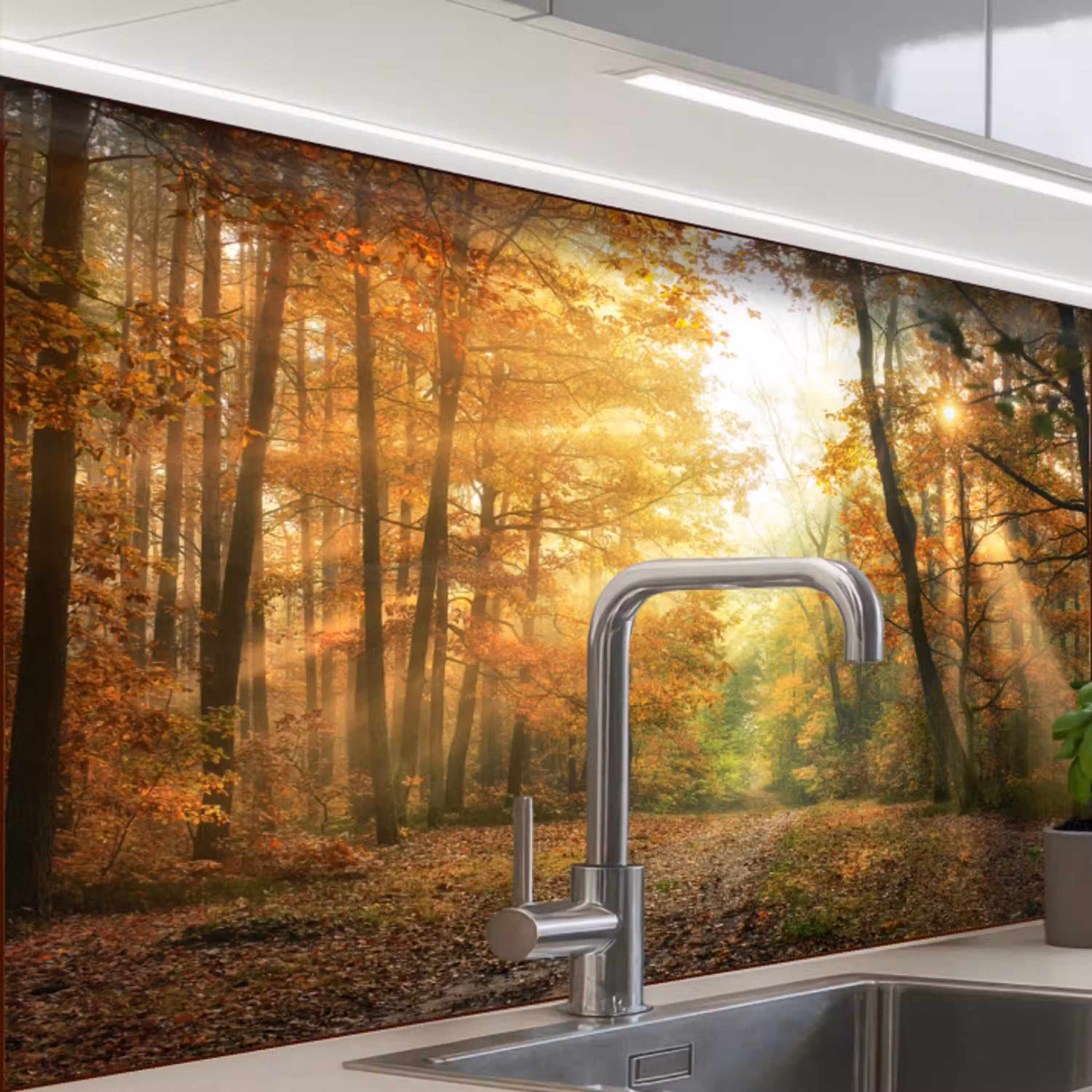Bos - Herfst - Zon - Landschap - Natuur - Bomen - Bladeren keuken achterwand 2 middel -zzzz3d_schuin