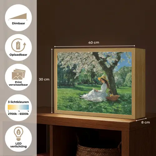 Vrouw - Boom - Boek - Mandje Light Box met batterij (Wandlamp) middel -USP_websiteoverzichtNL