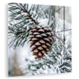 Dennenappel - Tak - Sneeuw - Winter - Sfeervol plexiglas 5mm klein -zzzproduct_nieuw
