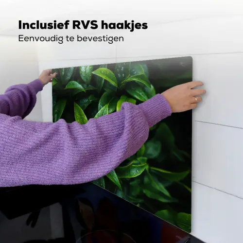 Bladeren - Regendruppels - Licht - Groen Inductie beschemer met haakjes middel -ky-ophangen-nl