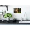 Bos - Gras - Zonlicht Muursticker klein -keuken