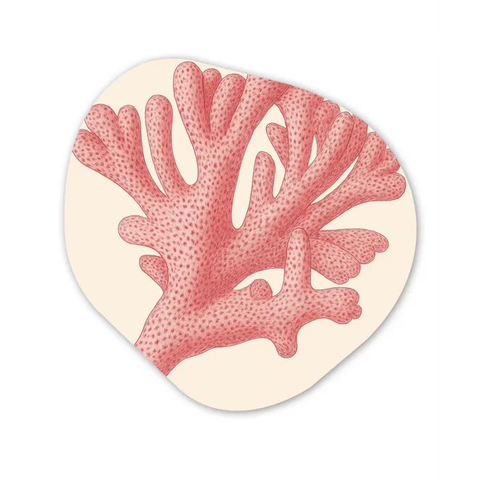 Koraal - Stipjes - Roze Wandcirkel Organisch Forex 3mm klein -3d