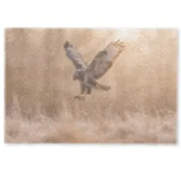 Buizerd - Roofvogel - Natuur - Bruin Deurmat klein -zkaufland3d