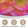 Roze - Dahlia - Kleurrijk Akoestische PET Vilt - Rond klein -closeup_NL