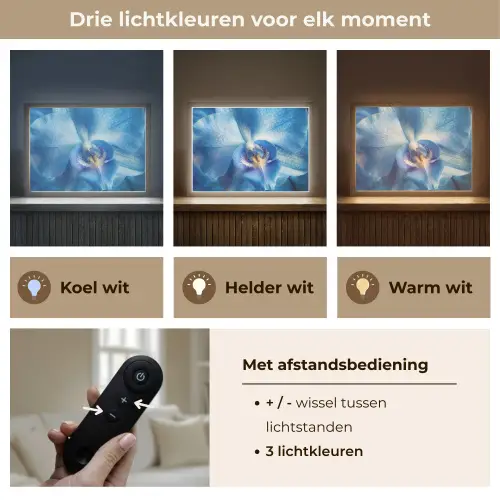 Blauw - Orchidee - Elegeant Light Box met batterij (Wandlamp) middel -USP_lichtkleurNL