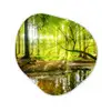 Bos - Landschap - Water - Bomen - Zon - Groen - Natuur Wandcirkel Organisch Forex 3mm klein -3d