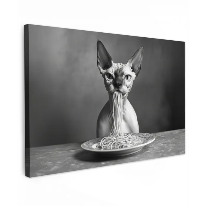 Sphynx - Kat - Dieren - Humor - Spaghetti - Zwart Wit canvas 2cm klein -z3d