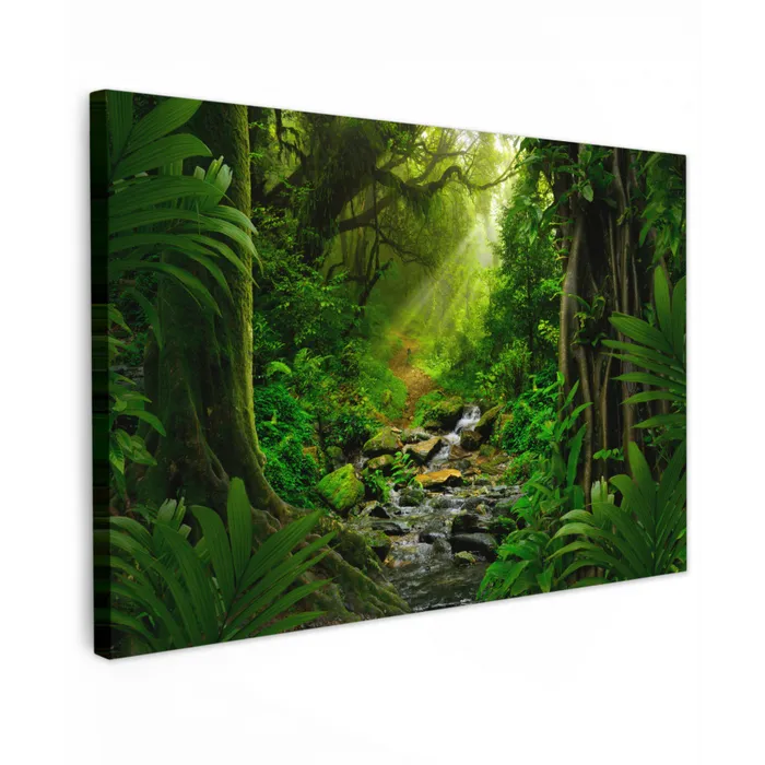 Jungle - Water - Bladeren - Zon - Natuur Tuinposter op houten frame 2 cm dik klein -3d