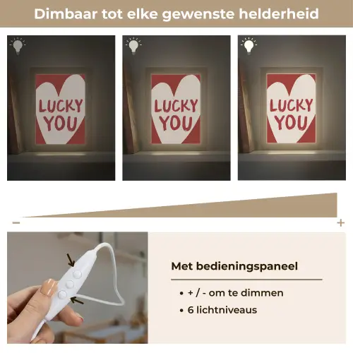 Lucky - Hart - Rood Light Box met kabel (Wandlamp) klein -USP_dimbaarNL