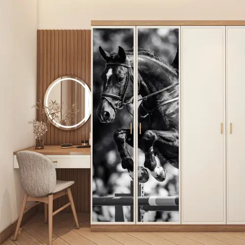 Springen - Paard - Zwart - Wit deurposter klein -sfeer3
