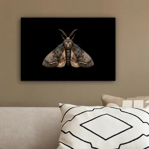 Mot - Bladachtig - Grijs canvas 2cm klein -sfeer3