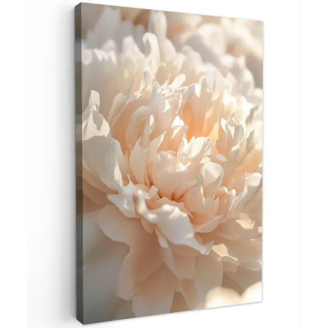 Close up - Pioenroos - Lichtroze Tuinposter op houten frame 2 cm dik klein -3d