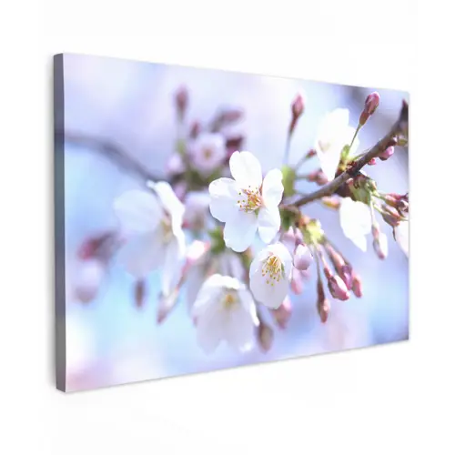Bloemen - Sakura - Tak - Bloesem takken Tuinposter op houten frame 2 cm dik klein -3d