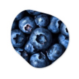Bessen - Blauw - Fruit Wandcirkel Organisch Aluminium middel -3d