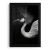 Kraanvogel - Zwart - Wit - Vogel - Dieren fotolijst zwart zonder passe partout klein -3d