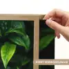 Bladeren - Regendruppels - Licht - Groen Light Box met batterij (Wandlamp) middel -USP_websiteprintNL