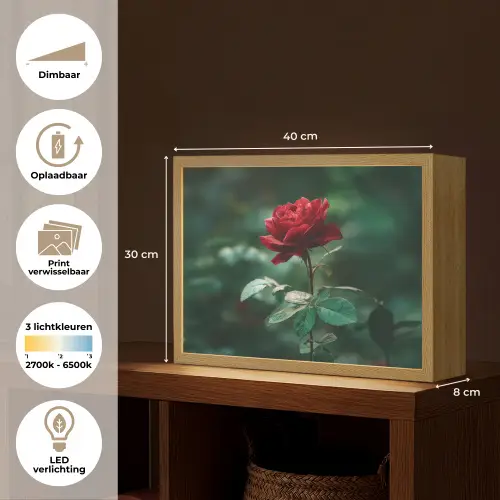Roos - Bladeren - Dieprood Light Box met batterij (Wandlamp) middel -USP_websiteoverzichtNL