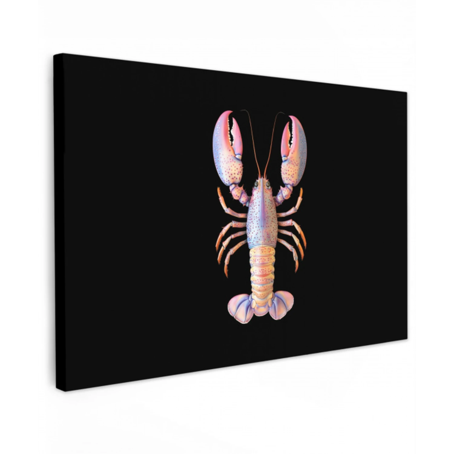 Kreeft - Roze - Zacht - Zwart Tuinposter op houten frame 2 cm dik klein -3d