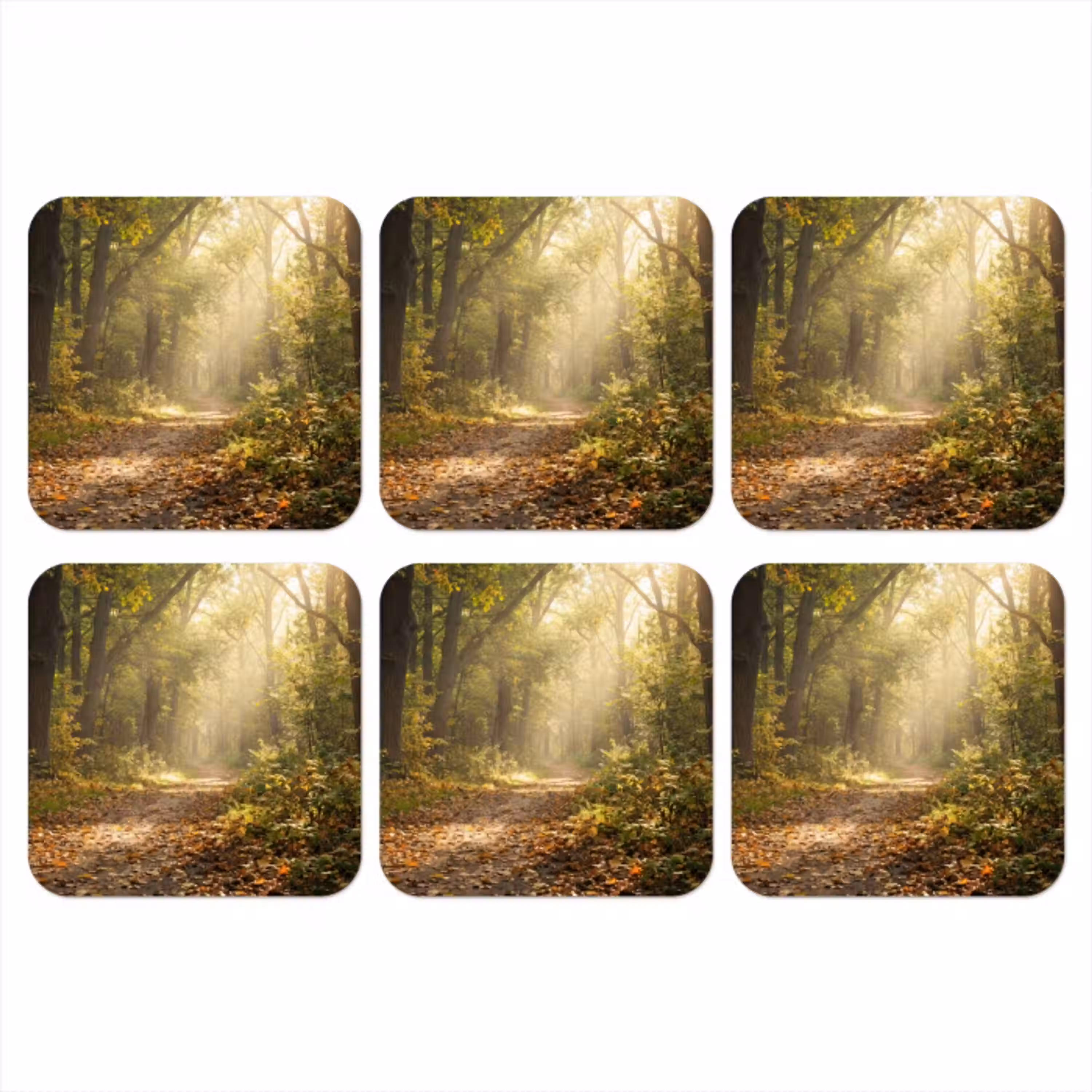 Zonlicht - Bospad - Bomen onderzetter kurk middel -3d
