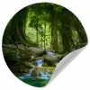 Jungle - Stenen - Water - Natuur - Planten Wandcirkel behangsticker klein -3d