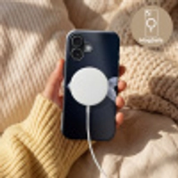 Porselein - Goudvis - Delfts - Blauw Toughcase MagSafe Apple iPhone 17 klein -USP_MagsafeV