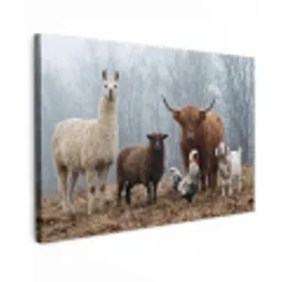 Boerderijdieren - Groep - Mist - Natuur - Rustiek canvas 2cm klein -z3d