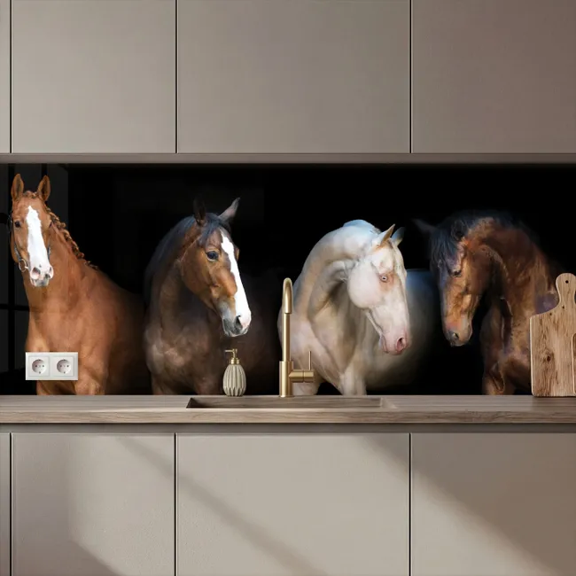 Kitchen Wall Splashback - Horse - Animals - Black