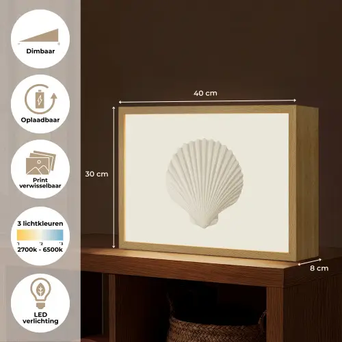 Schelp - Minimalistisch - Wit Light Box met batterij (Wandlamp) middel -USP_websiteoverzichtNL