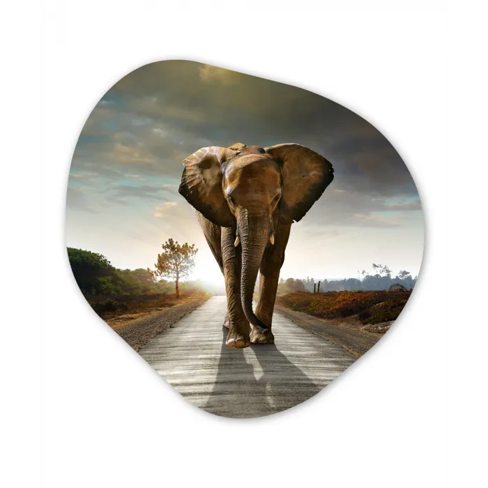 Olifant - Weg - Dieren - Zonsondergang - Landschap Wandcirkel Organisch Forex 3mm klein -3d