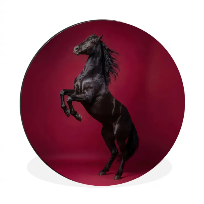 Hengst - Steigert - Rood Wandcirkel aluminium klein -3d