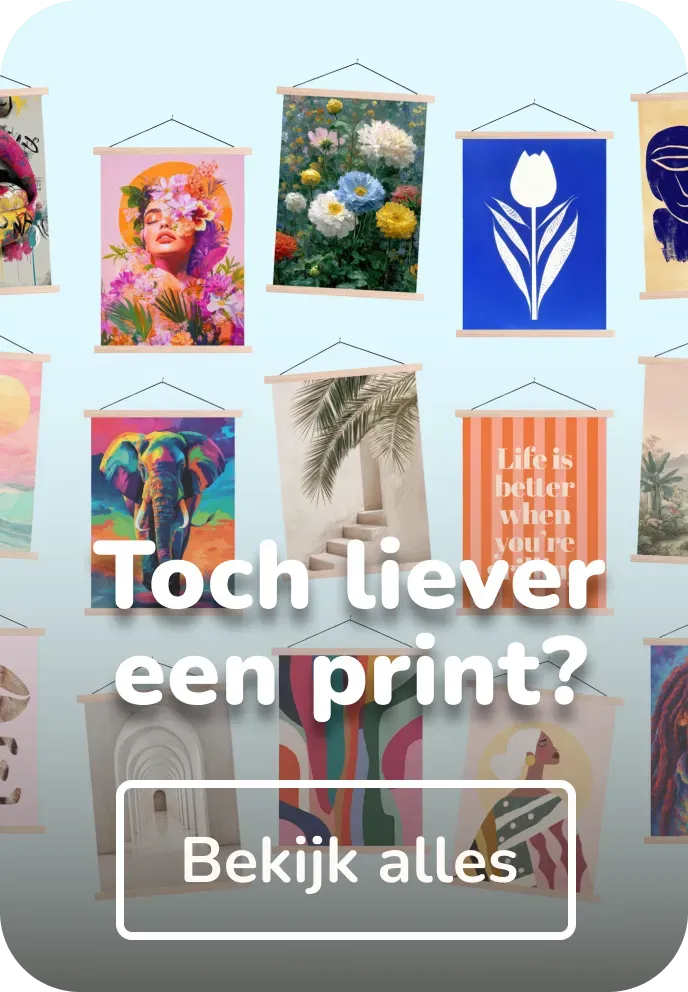 Schoolplaat collecties
