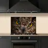 Uil - Dier - Oranje keuken achterwand spatscherm klein -sfeer1