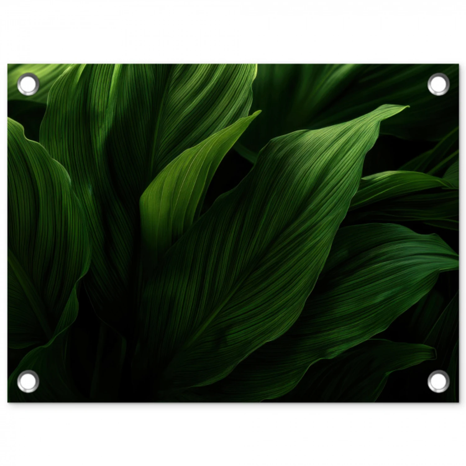 Bladeren - Schaduw - Groen - Textuur tuinposter los doek klein -3d