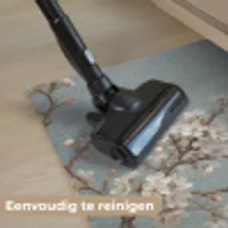 Botanisch - Stilleven - Blauw Deurmat klein -reinigen_NL