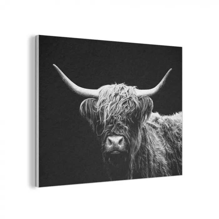 Schotse Hooglander - Koe - Zwart - Wit - Dieren PET vilt klein -3d