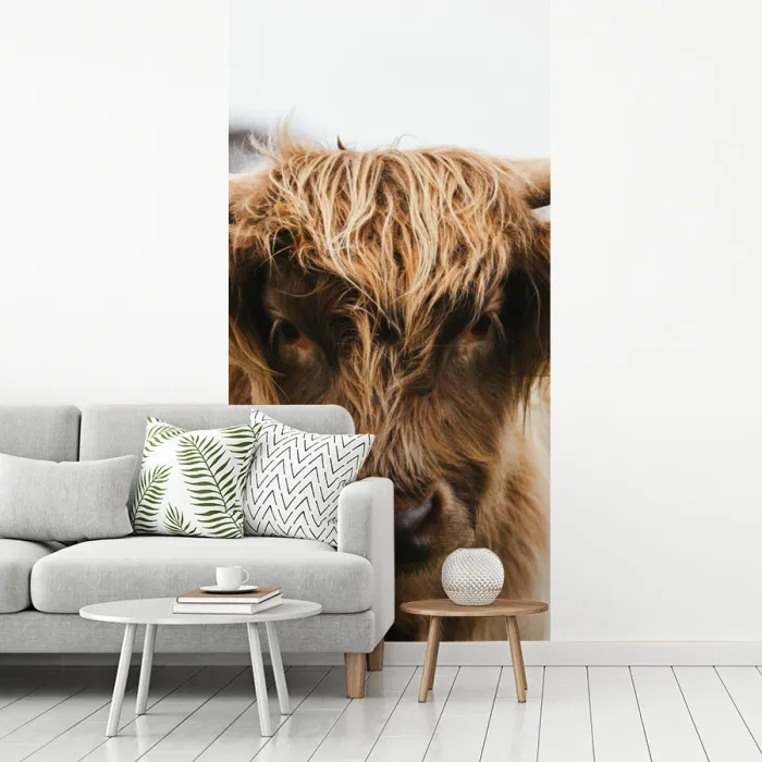 Schotse Hooglander -  Koe - Gras - Dieren - Natuur fotobehang vinyl groot -woonkamer