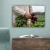 Bieten - Vers - Moestuin canvas 2cm klein -sfeer4