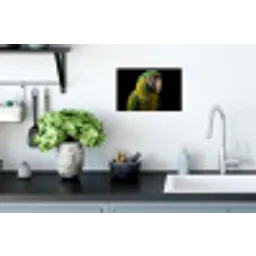Ara - Portret - Groen Muursticker klein -keuken