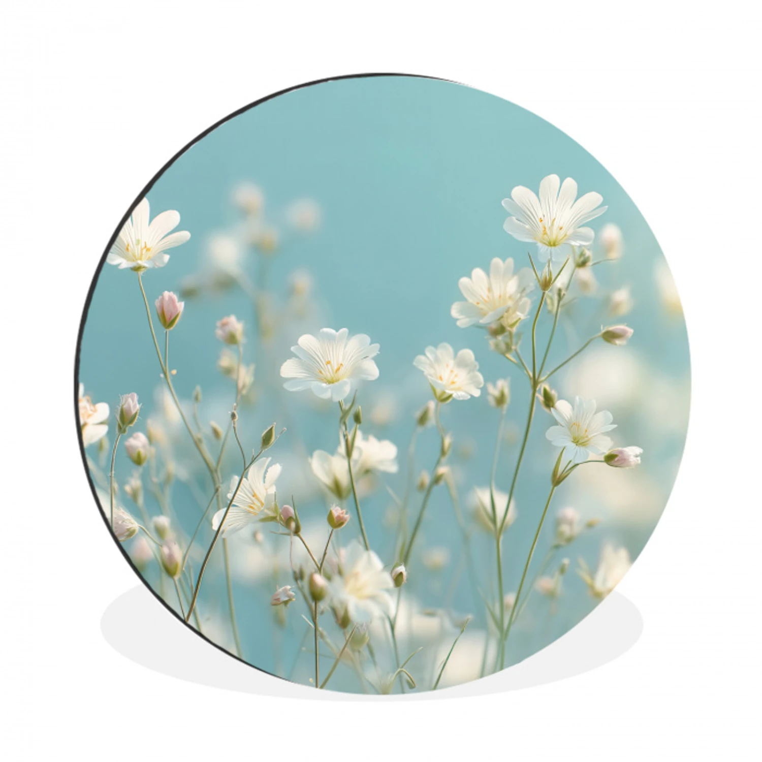 Stengels - Bloemen - Lucht - Wit Wandcirkel aluminium klein -3d