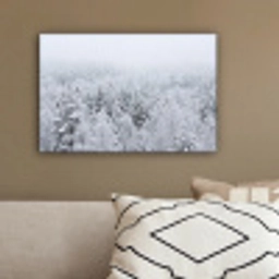 Bos - Sneeuw - Winter - Natuur - Wit canvas 2cm klein -sfeer3