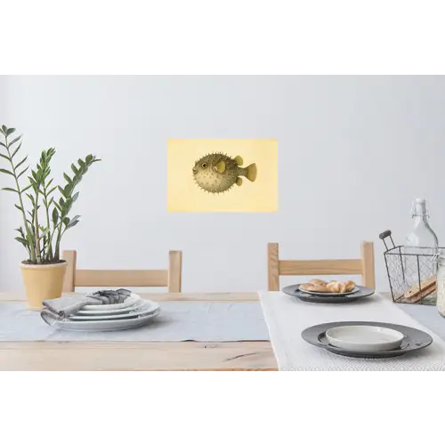 Stekels - Vis - Opgeblazen - Bruin Muursticker klein -eettafel
