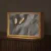 Pampasgras - Pluim - Zwart - Beige Light Box met kabel (Tafellamp) klein -z3d_website