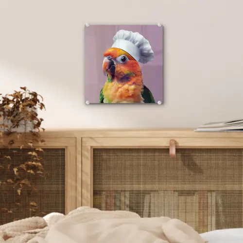 Papegaai - Koksmuts - Nieuwsgierig - Vogel plexiglas 5mm klein -sfeer4