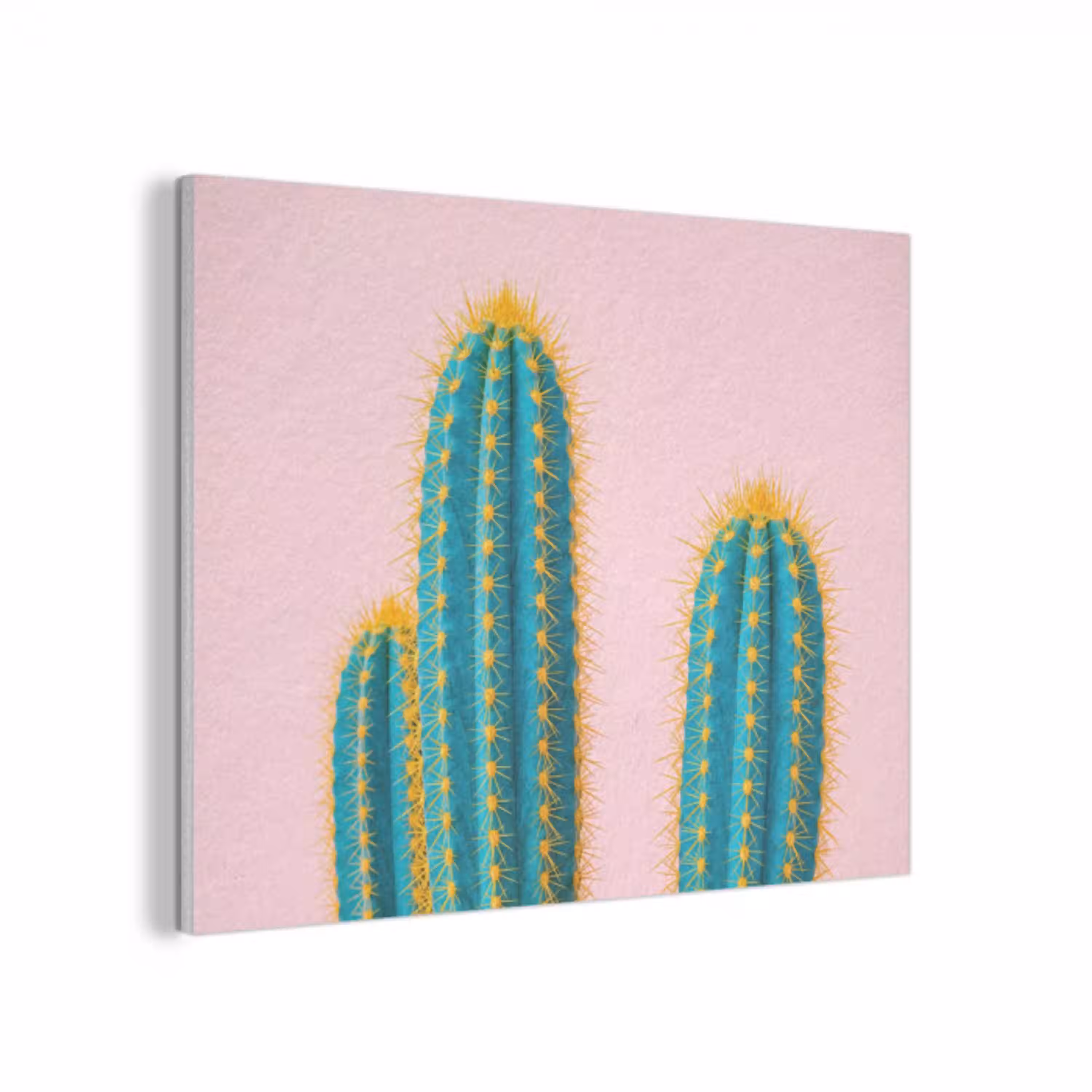 Cactussen - Modern - Pastel PET vilt klein -3d