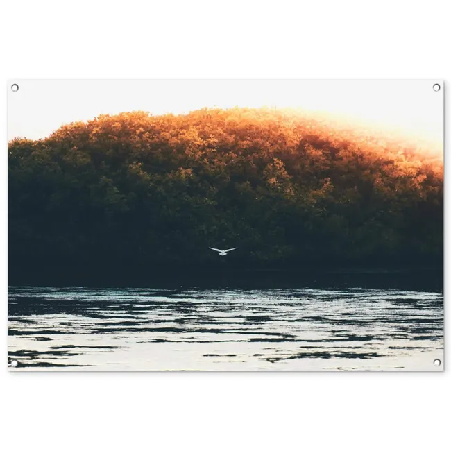 Tuinposter - Vogel - Boom - Water