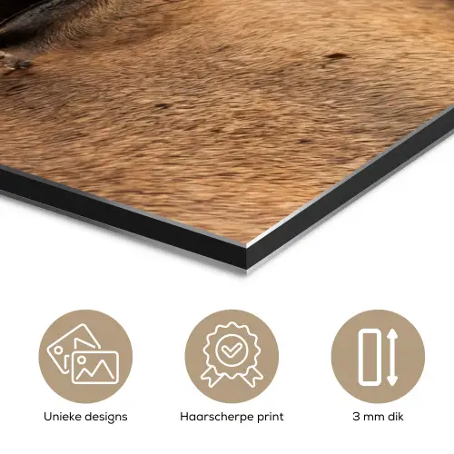 Paard - Oog - Bruin aluminium wit klein -closeup_NL