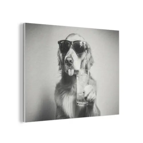 Golden retriever - Hond - Zonnebril - Gkas PET vilt klein -3d